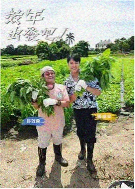 手作一整天 慢节奏手作综艺